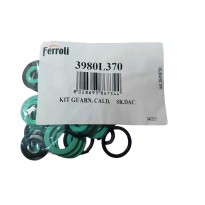 Set garnituri centrala Ferroli Divacondens D Plus F24